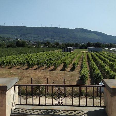 Agriturismo Il Casale Del Cavaliere Sant'Agata de' Goti Ngoại thất bức ảnh