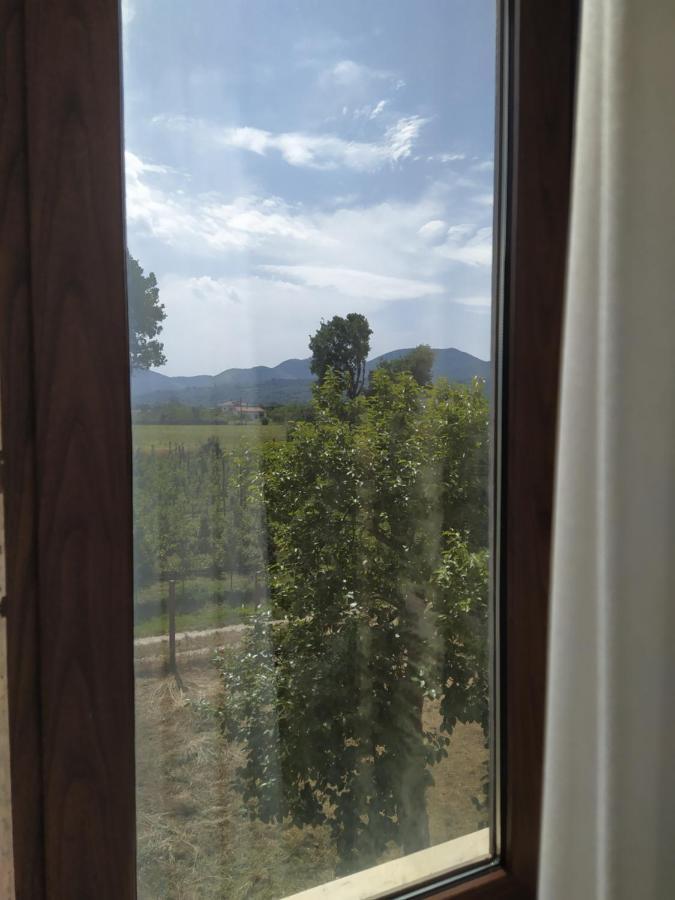 Agriturismo Il Casale Del Cavaliere Sant'Agata de' Goti Ngoại thất bức ảnh